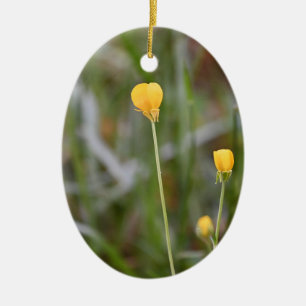 Buttercups Foto Ornament