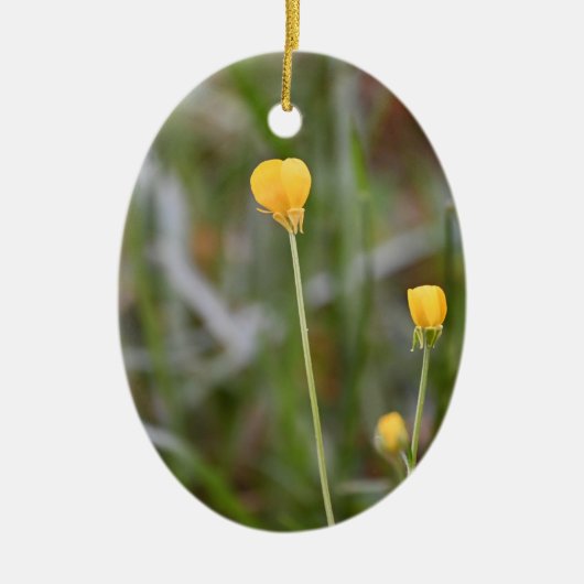 Buttercups Foto Ornament (Vorne)