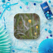 Buttercups Foto Paper Teller (Party)