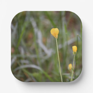 Buttercups Foto Paper Teller