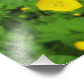 Buttercups Fotodruck (Ecke)