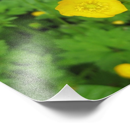 Buttercups Fotodruck (Ecke)