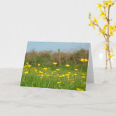 Buttercups Karte (Gelbe Blume)
