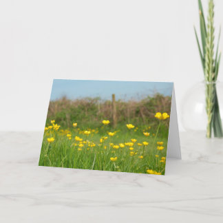 Buttercups Karte