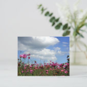 Buttercups Postkarte (Stehend Vorderseite)