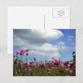 Buttercups Postkarte (Vorne/Hinten)