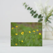 Buttercups Postkarte (Stehend Vorderseite)