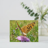 Butterdog Postkarte (Stehend Vorderseite)