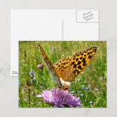 Butterdog Postkarte (Vorne/Hinten)