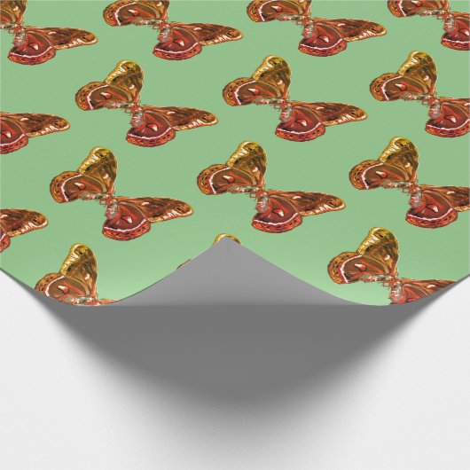 Butterfetts Art Zeichnend Geschenkpapier (Ecke)