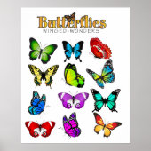 Butterfisch Poster (Vorne)
