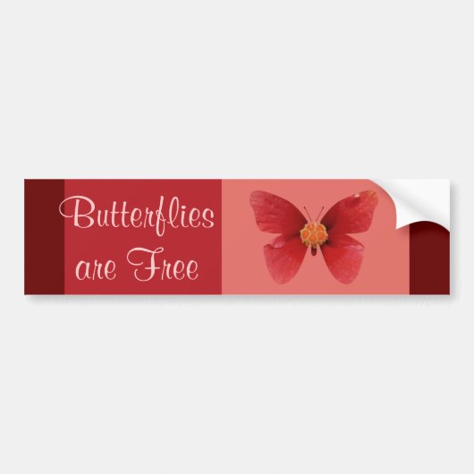Butterflie sare geben frei autoaufkleber (Vorne)