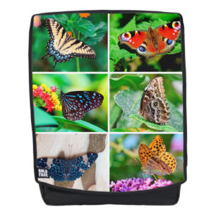 Butterfliegen Collage Peacock Blue Tiger Buckeye Rucksack