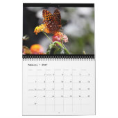 Butterflies 12 Month Calendar Kalender (Feb 2027)