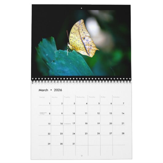 Butterflies 12 Month Calendar Kalender (Mär 2026)