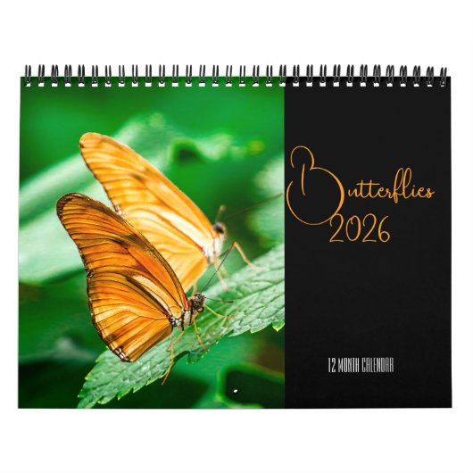 Butterflies 12 Month Wall Calendar 2026 Kalender (Titelbild)