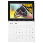 Butterflies 2020 Kalender von Tom Minutolo (Jan 2027)