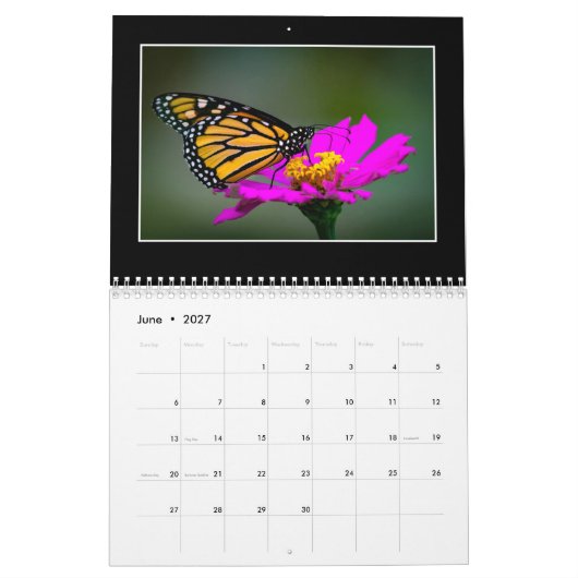 Butterflies 2020 Kalender von Tom Minutolo (Jun 2027)