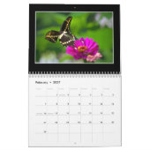 Butterflies 2020 Kalender von Tom Minutolo (Feb 2027)