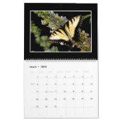 Butterflies 2022 Kalender von Tom Minutolo (Mär 2026)