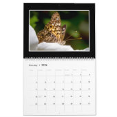 Butterflies 2022 Kalender von Tom Minutolo (Jan 2026)