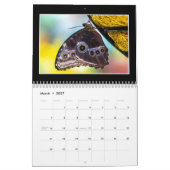 Butterflies 2023 Kalender von Tom Minutolo (Mär 2027)
