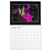 Butterflies 2023 Kalender von Tom Minutolo (Feb 2026)