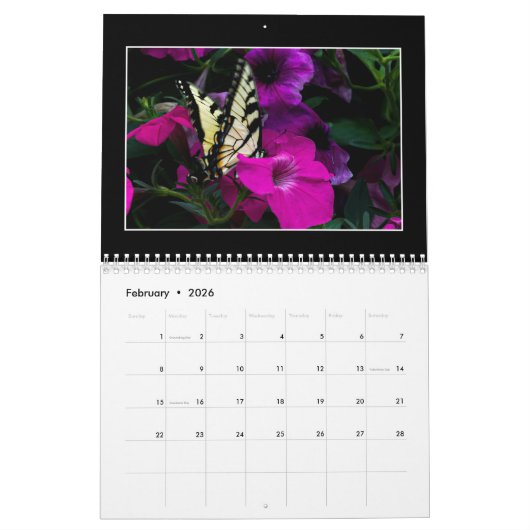 Butterflies 2023 Kalender von Tom Minutolo (Feb 2026)