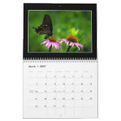 Butterflies 2023 Kalender von Tom Minutolo (Mär 2027)
