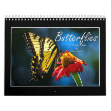 Butterflies 2023 Kalender von Tom Minutolo