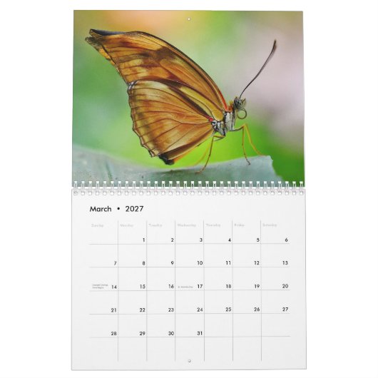 Butterflies 2025 kalender (Mär 2027)