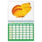 Butterflies 2026 One Year Calendar Kalender (Mär 2027)