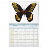 Butterflies 2026 One Year Calendar Kalender (Feb 2026)