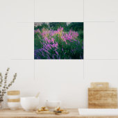 BUTTERFLIES BELIEBEN LILA LOOSESTRIFE POSTER (Küche)