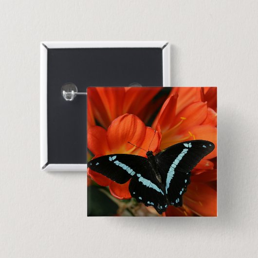 Butterflies BLUEY Button (Vorne & Hinten)