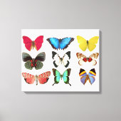 Butterflies Canvas Print Leinwanddruck (Vorderseite)