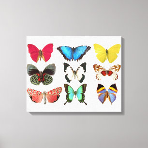 Butterflies Canvas Print Leinwanddruck
