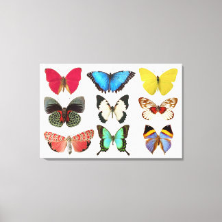 Butterflies Canvas Print Leinwanddruck