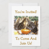 BUTTERFLIES EINLADUNG (Vorderseite)