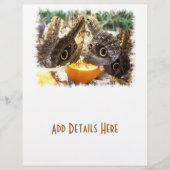 BUTTERFLIES FLYER (Vorne)