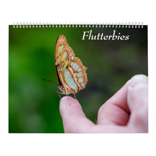 Butterflies Kalender (Titelbild)