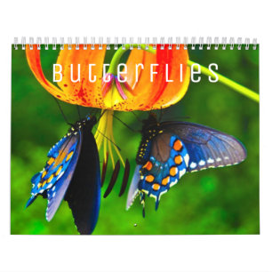 Butterflies-Kalender 2022 Kalender