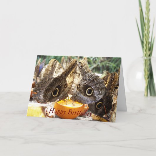 BUTTERFLIES KARTE (Vorderseite)