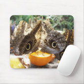 BUTTERFLIES MOUSEPAD (Mit Mouse)