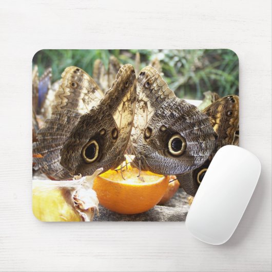 BUTTERFLIES MOUSEPAD (Mit Mouse)