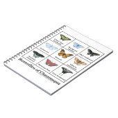 Butterflies of Chautauqua Notizblock (Linke Seite)