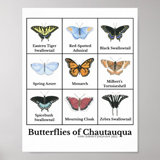 Butterflies of Chautauqua Poster (Vorne)