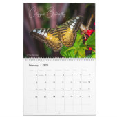 Butterflies of Wonder 2026 Nature Calendar Kalender (Feb 2026)