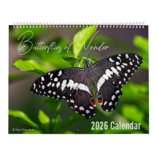 Butterflies of Wonder 2026 Nature Calendar Kalender
