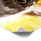 BUTTERFLIES POSTER (Ecke)